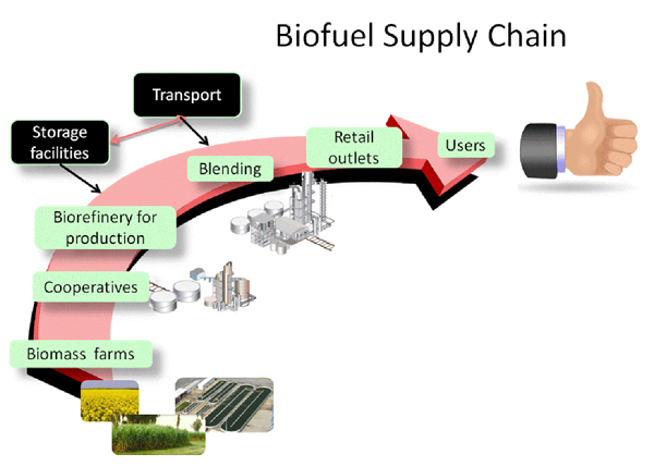 Biofuel Supply chain